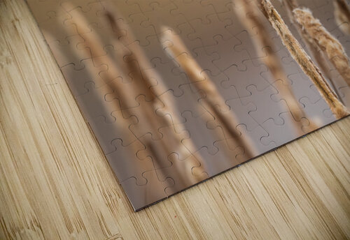 A66I1633 Edit Razak Photography puzzle
