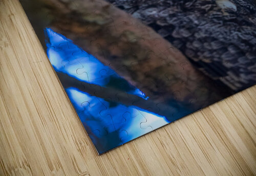 A29I7804 Edit 3 Razak Photography puzzle