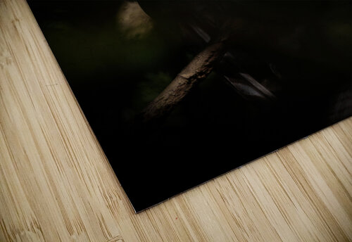 A29I0804 Edit 2 7 Razak Photography puzzle