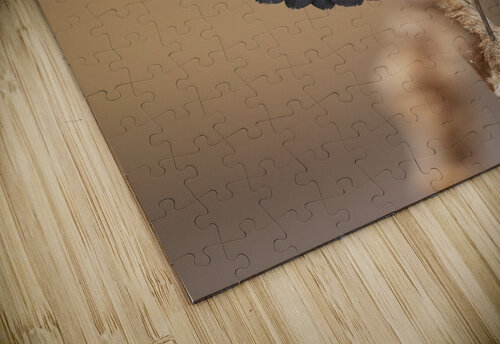 A66I1633 Edit 5 Razak Photography puzzle