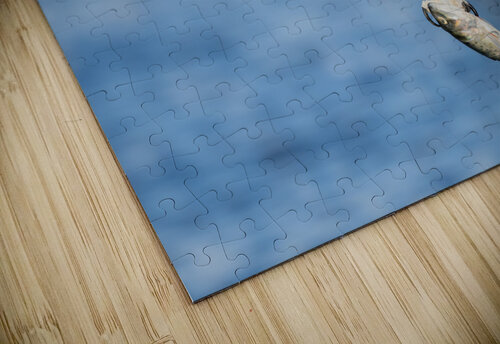 DSC06628 Edit Razak Photography puzzle