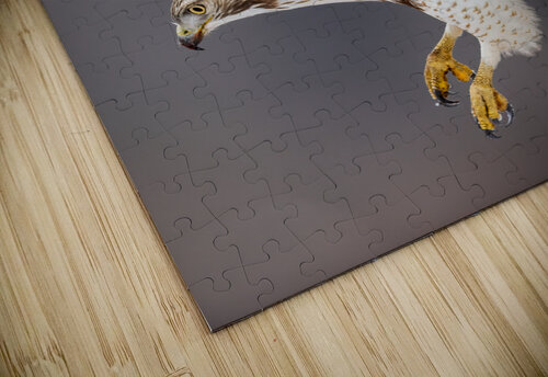 A66I2605 Edit 4 Razak Photography puzzle