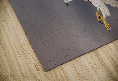 A66I2605 Edit Razak Photography puzzle