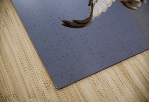 A66I2576 Edit 4 Razak Photography puzzle