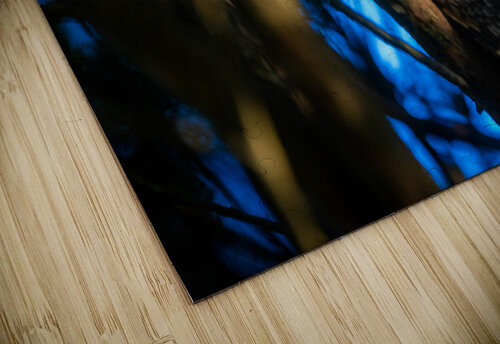 A29I7447 Edit 2 Razak Photography puzzle