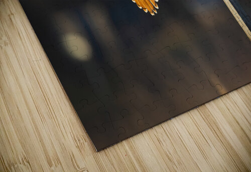 A66I6341 Edit 2 Razak Photography puzzle