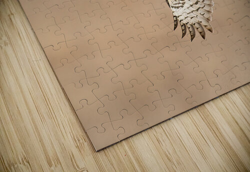 A66I5308 Edit 5 Razak Photography puzzle