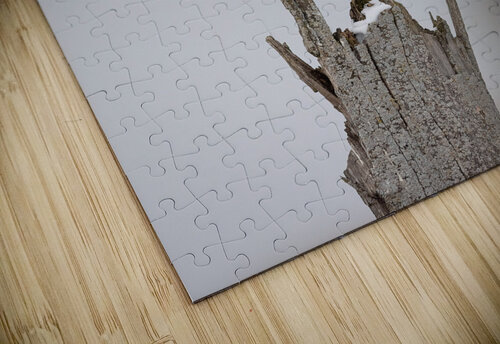 A66I3880 Edit 4 Razak Photography puzzle