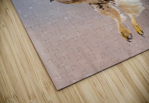 A66I0280 Edit 3 Razak Photography puzzle