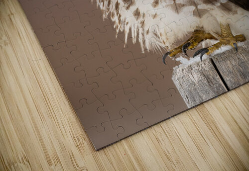 A66I2642 Edit 2 Razak Photography puzzle