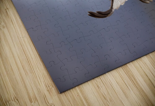 A66I2576 Edit Razak Photography puzzle