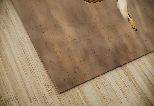 A66I6034 Edit Razak Photography puzzle