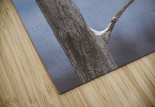 A66I1373 Edit 4 Razak Photography puzzle