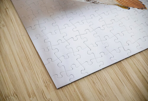 A66I0953 Edit Razak Photography puzzle