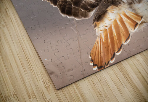 A66I0240 Edit 3 Razak Photography puzzle