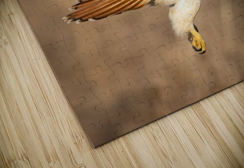 A66I6034 Edit 4 Razak Photography puzzle