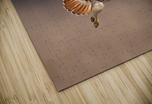 DSC07908 Edit Razak Photography puzzle
