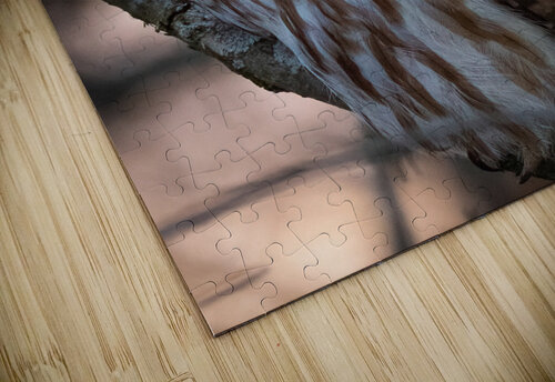 DSC09814 Edit 6 Razak Photography puzzle