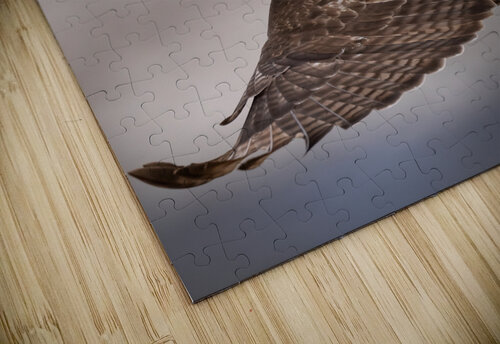 DSC08213 Edit 3 Razak Photography puzzle