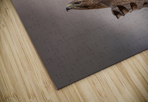 DSC08222 Edit Razak Photography puzzle