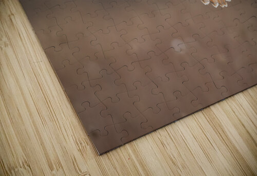 A66I1444 Edit 3 Razak Photography puzzle
