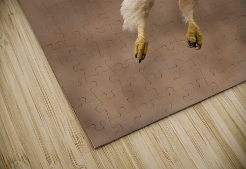 DSC07167 Edit 3 Razak Photography puzzle
