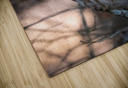 DSC09814 Edit 3 Razak Photography puzzle