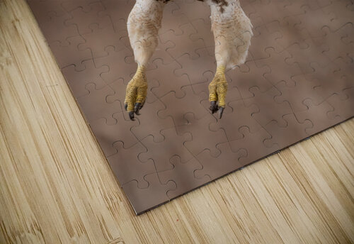 DSC07151 Edit 9 Razak Photography puzzle