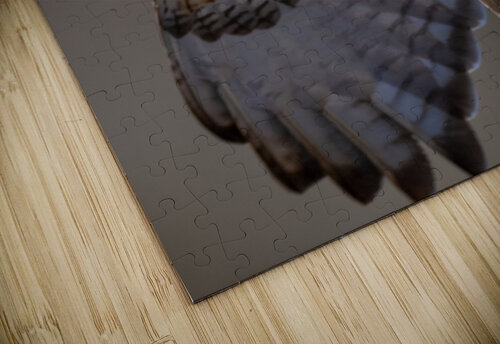 DSC04795 Edit 9 Razak Photography puzzle