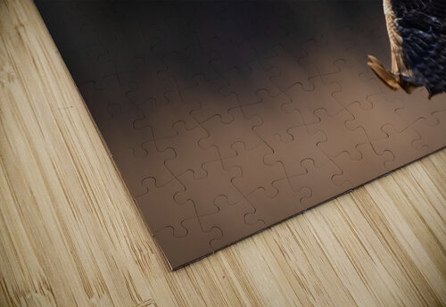 DSC05072 Edit 2 5 Razak Photography puzzle