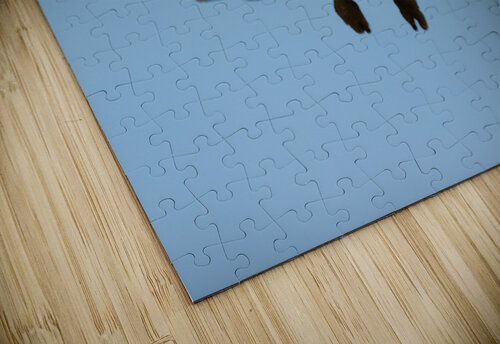 DSC09344 Edit 9 Razak Photography puzzle