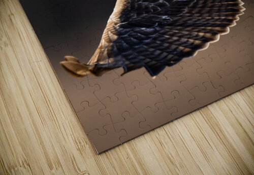 DSC05072 Edit 2 4 Razak Photography puzzle