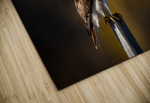DSC00495 Edit Razak Photography puzzle