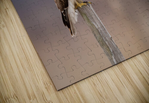 DSC02905 Edit Razak Photography puzzle