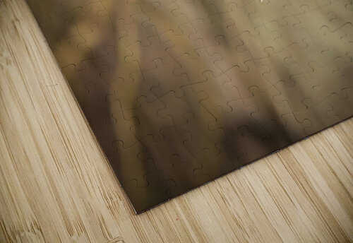 DSC01073 Edit Razak Photography puzzle