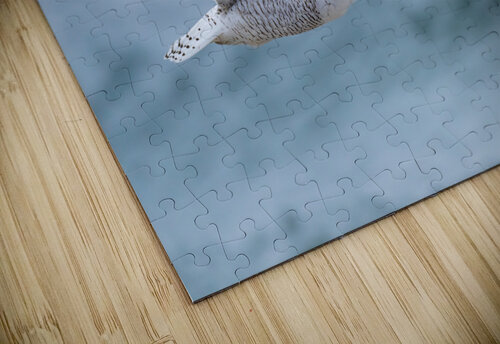 DSC06850 Edit 2 Razak Photography puzzle