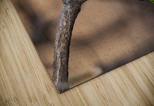 DSC02833 Edit Razak Photography puzzle