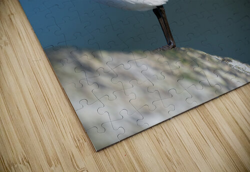 DSC05942 Edit 3 Razak Photography puzzle