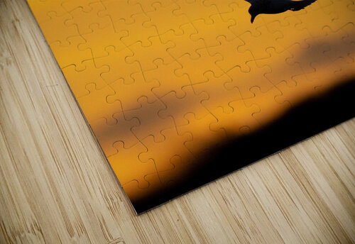 DSC07067 3 Razak Photography puzzle