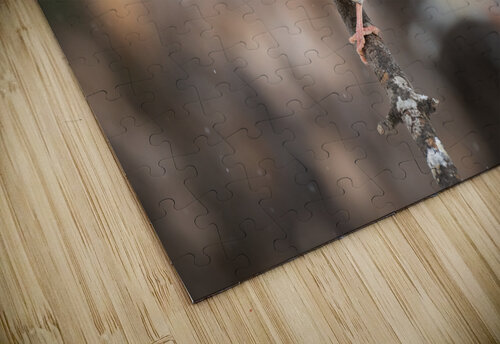 DSC08890 Edit Razak Photography puzzle