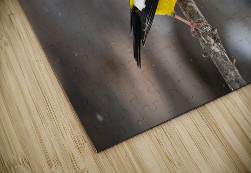 DSC08965 Edit 2 Razak Photography puzzle