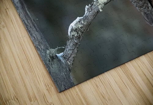DSC09511 2 Edit Edit 6 Razak Photography puzzle