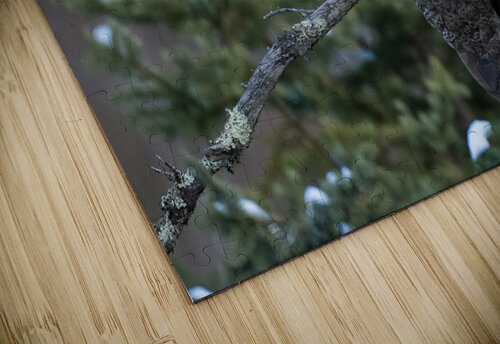 DSC00257 2 Edit Razak Photography puzzle