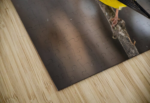 DSC08944 Edit 2 Razak Photography puzzle