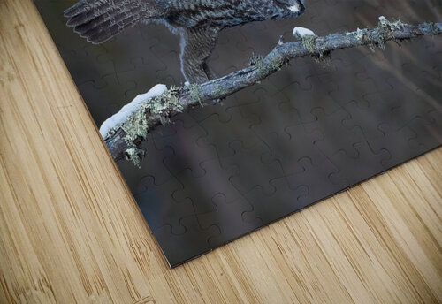DSC09841 2 Edit 2 Razak Photography puzzle