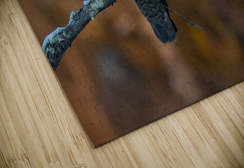 DSC09469 2 Edit Razak Photography puzzle