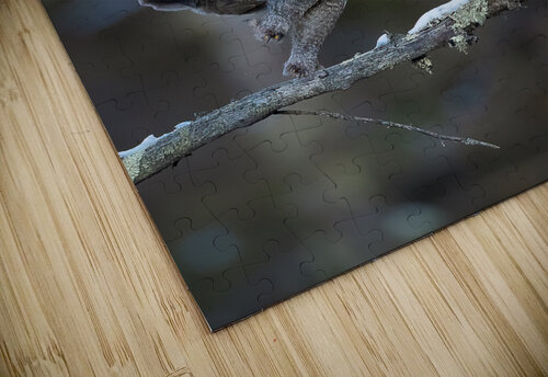 DSC09836 2 Edit 3 Razak Photography puzzle