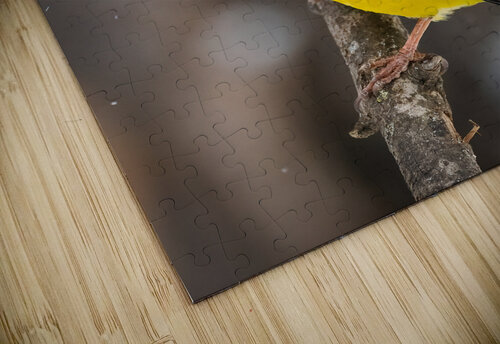 DSC08944 Edit 3 Razak Photography puzzle
