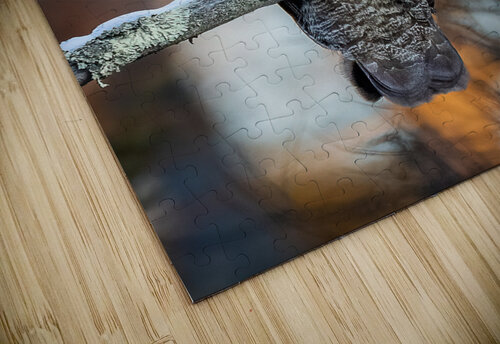 DSC08653 2 Edit 9 Razak Photography puzzle