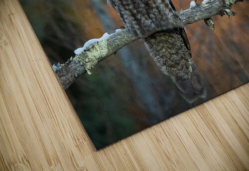 DSC08785 2 Edit Razak Photography puzzle